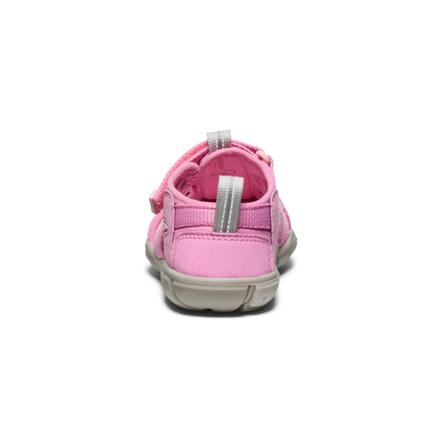 Miniatyrbild 5